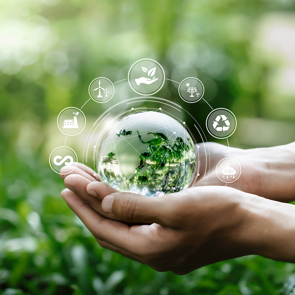 Hands holding a globe on a green grassy background