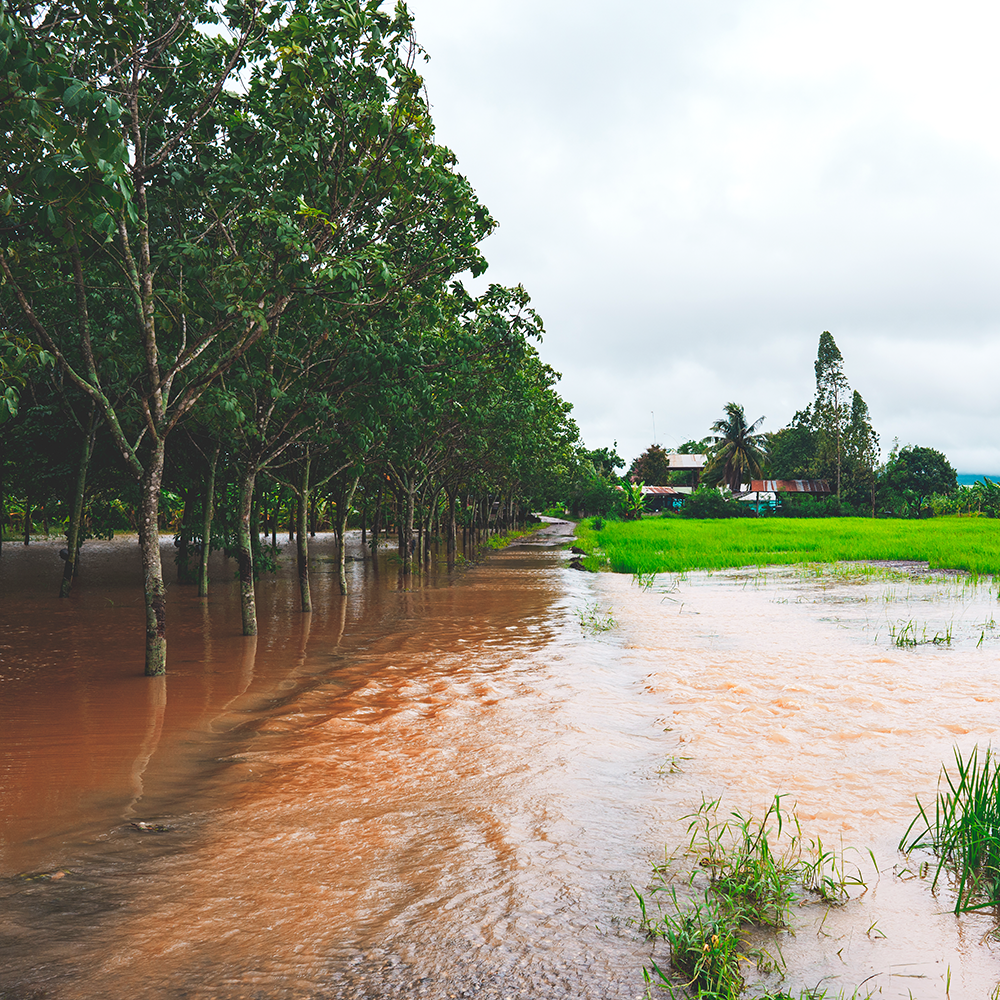 agriculture flood run off